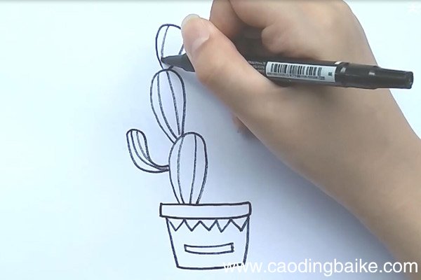 仙人掌简笔画 仙人掌简笔画带颜色