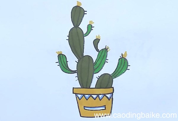 仙人掌简笔画 仙人掌简笔画带颜色