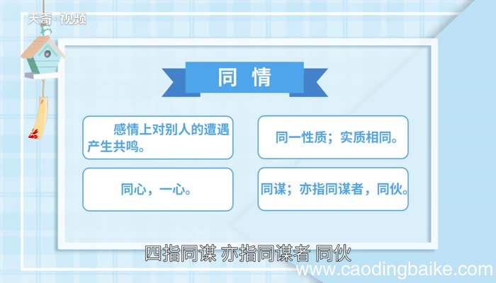 同情的意思 同情的解释