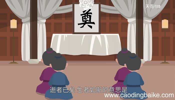 逝者已矣 生者如斯意思逝者已矣 生者如斯出自哪里