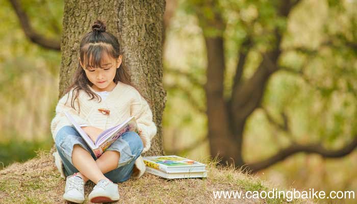树上的鞋子告诉我们什么道理 树上的鞋子明白了什么道理