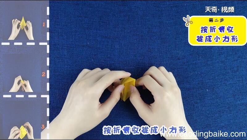 菊花的折法