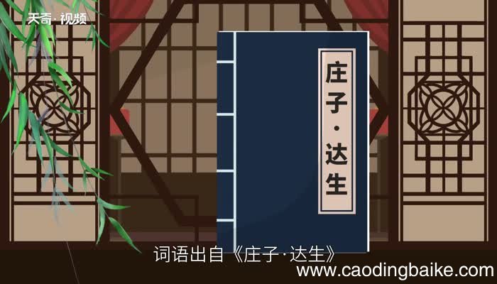学生的意思 学生的解释