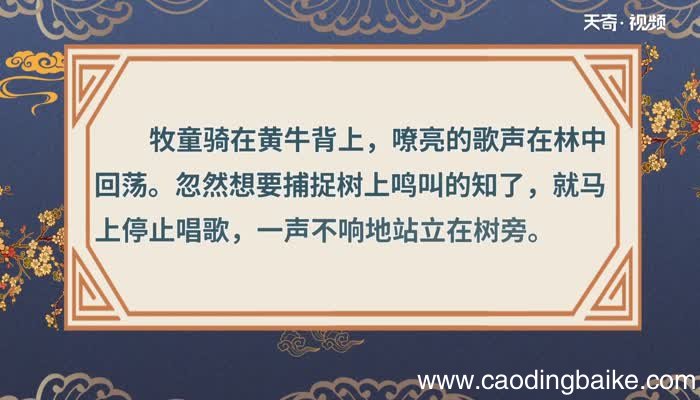 所见原文 所见全文