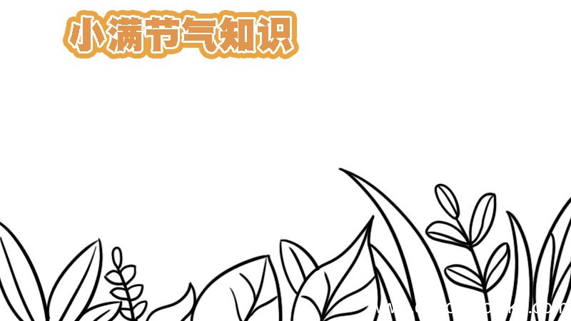 关于小满的知识手抄报 关于小满的知识手抄报画法