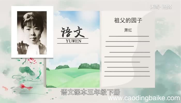 祖父的园子讲解视频祖父的园子讲解视频