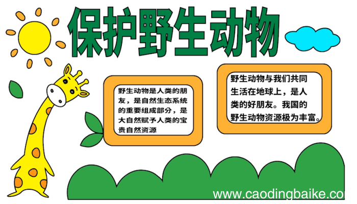保护野生动物手抄报 保护野生动物手抄报怎么画