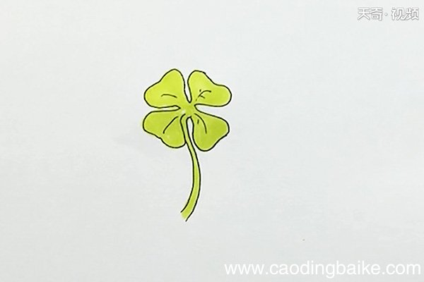 幸运草简笔画