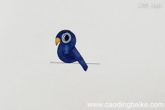 宠物鸟简笔画