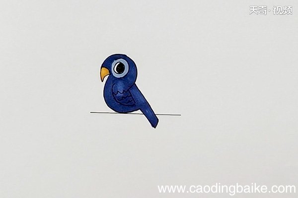 宠物鸟简笔画