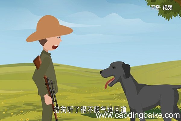 全力以赴的故事
