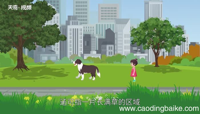 grass可数吗 grass是可数名词吗