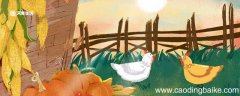 牝鸡司晨惟家之索是什么意思 牝鸡司晨惟家之索意思