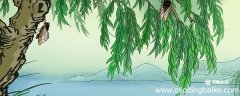 蝉古诗意思翻译 蝉古诗意思翻译简单