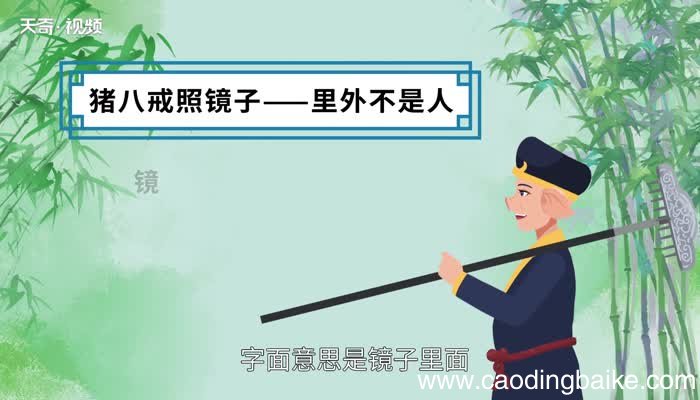猪八戒照镜子歇后语 猪八戒照镜子歇后语下一句