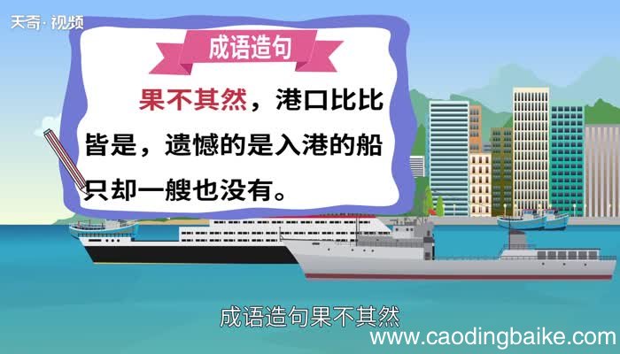 果不其然的意思
