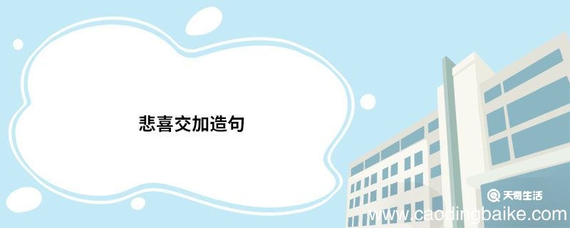 悲喜交加造句 悲喜交加的意思