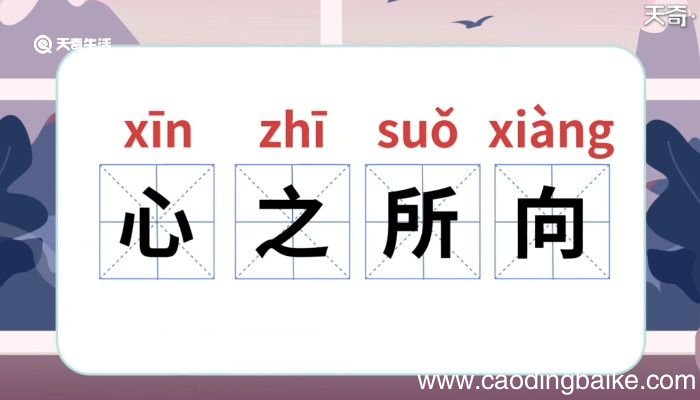 心之所向的意思 心之所向的意思是