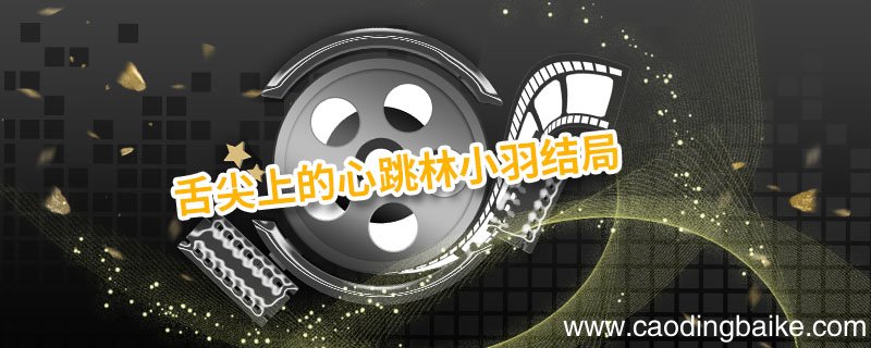 舌尖上的心跳林小羽结局 舌尖上的心跳林小羽结局是什么