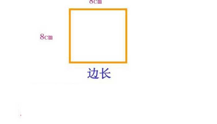 正方形的底面积公式 正方形的底面积公式是啥