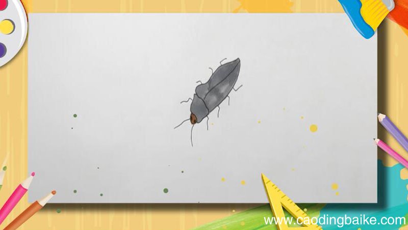 叩头虫简笔画