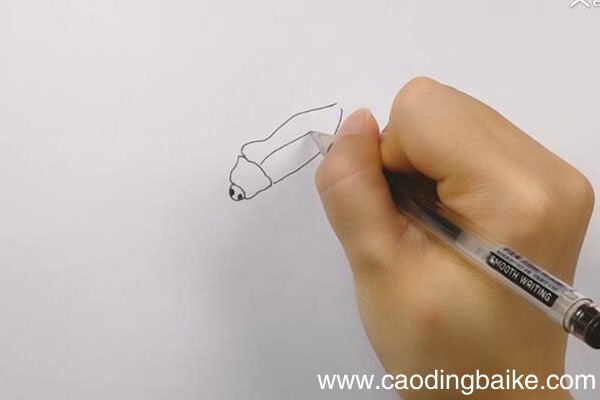 叩头虫简笔画