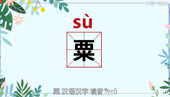 粟怎么读 粟的读音
