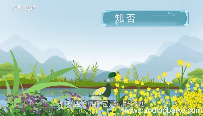 古诗词的表达方式有哪些古典诗词中常用的表达方式