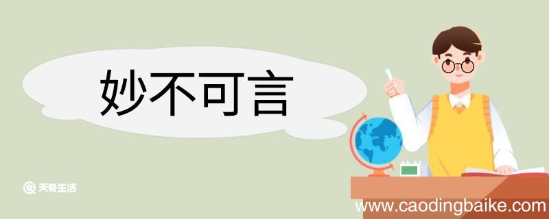 妙不可言造句 妙不可言意思