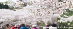 雅安市春季赏花去哪里 推荐雅安春季赏花好去处