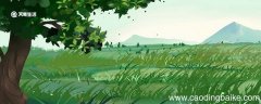 天苍苍野茫茫全诗注音 天苍苍野茫茫拼音