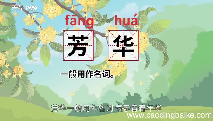 芳华的意思 芳华什么意思
