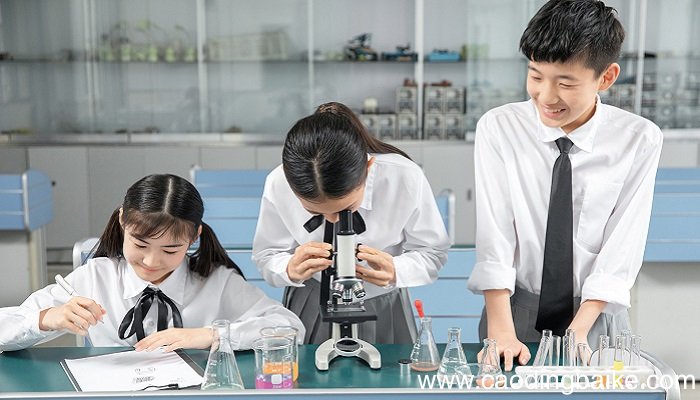 氧化铜与一氧化碳反应方程式 氧化铜与一氧化碳的化学反应方程式是什么