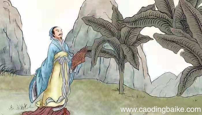 君到姑苏见这首诗的作者是 君到姑苏见这句诗的作者是谁