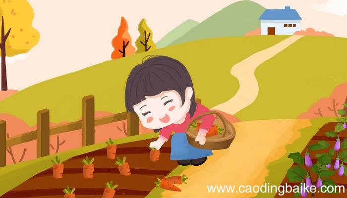 祖父的园子运用了什么写作手法 祖父的园子运用了的写作手法
