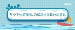 年少不知愁滋味为赋新词强说愁的意思 为赋新词强说愁的意思