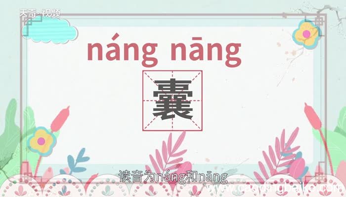 囊怎么读 囊怎么读法