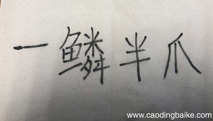 一鳞半爪读音 一鳞半爪的意思
