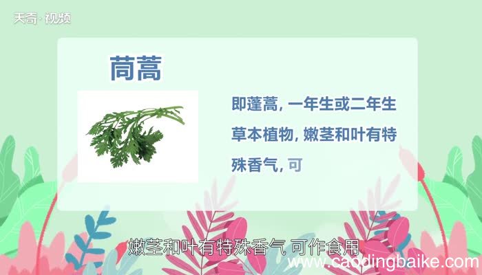 蒿怎么读 蒿的读法