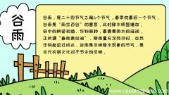 关于谷雨的手抄报内容,关于谷雨的手抄报内容画法