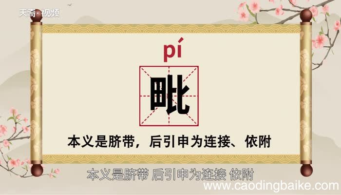 毗怎么读 毗的读法