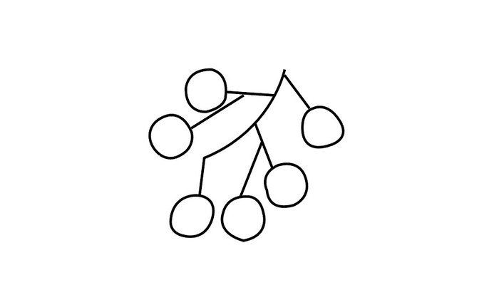 桂圆简笔画 桂圆简笔画怎么画