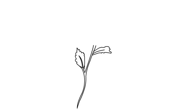 简笔画花朵 简笔画花朵画法