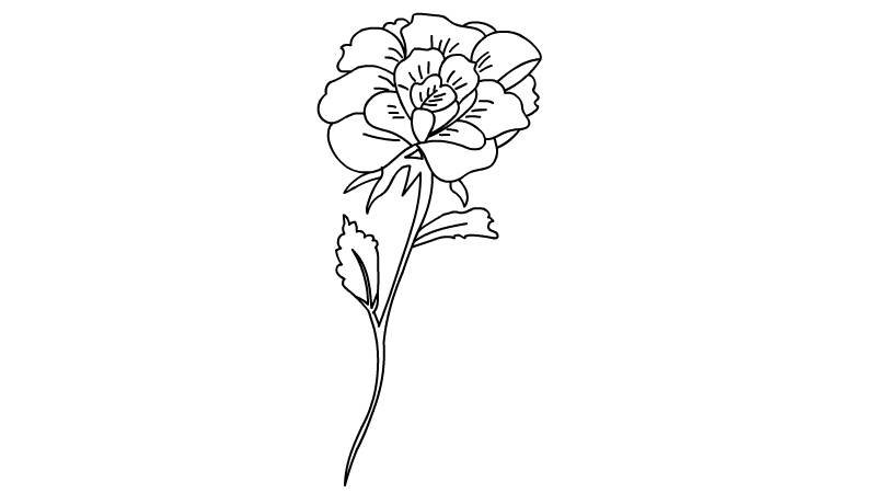 简笔画花朵 简笔画花朵画法