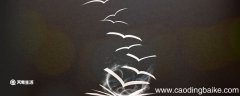 不知所措造句 不知所措造句怎么写