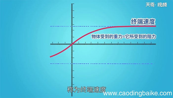 自由落体运动规律 自由落体运动的规律