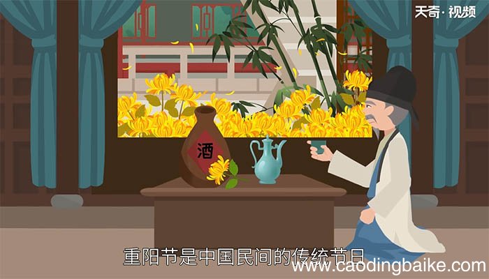 九月九日忆山东兄弟写的是什么节日 九月九日忆山东兄弟写的是哪个节日