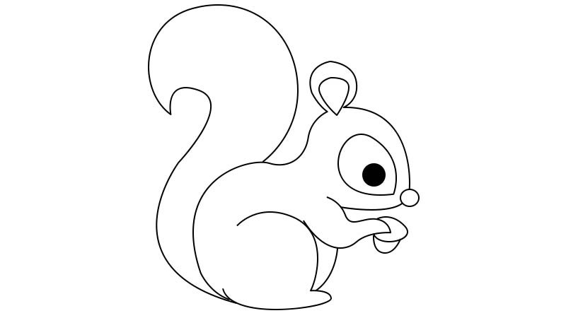 松鼠简笔画 松鼠的画法