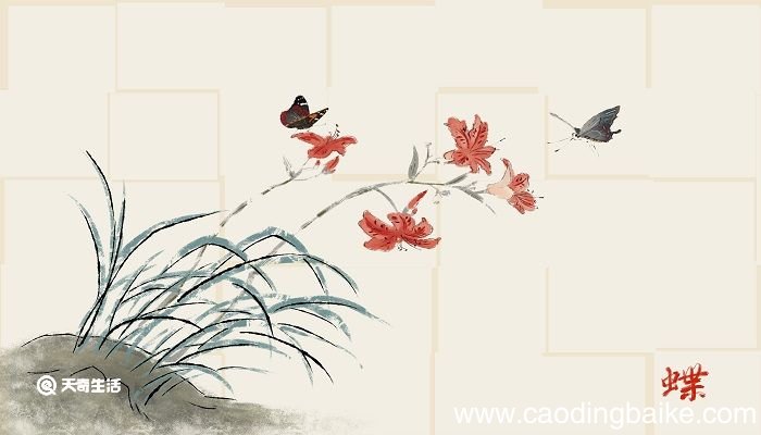 落红不是无情物化作春泥更护花是什么意思 落红不是无情物化作春泥更护花意思