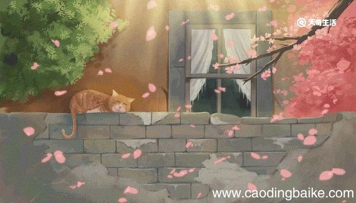 梭鱼和猫告诉我们什么道理 梭鱼和猫的启示